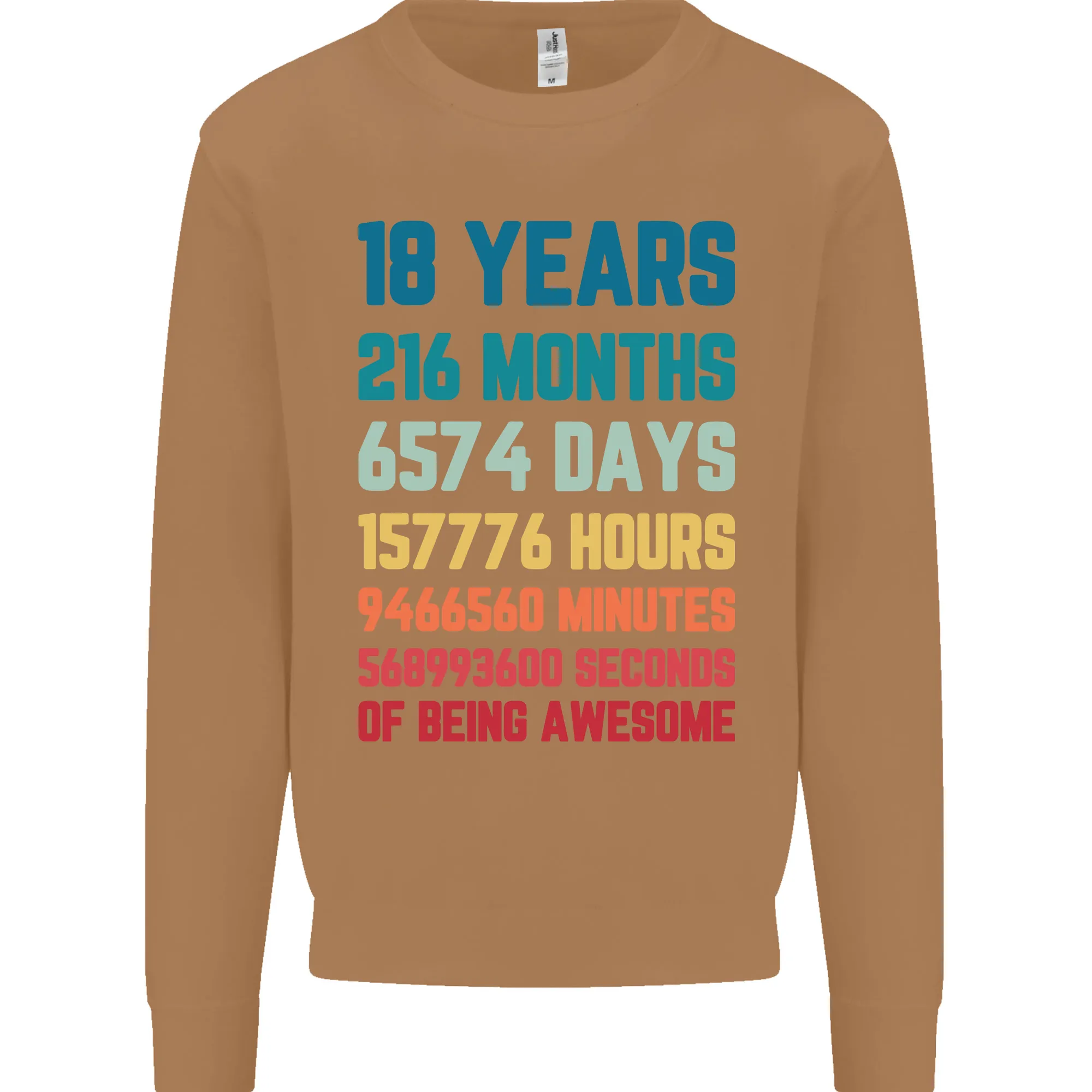 18th Birthday 18 Year Old Mens Sweatshirt Jumper