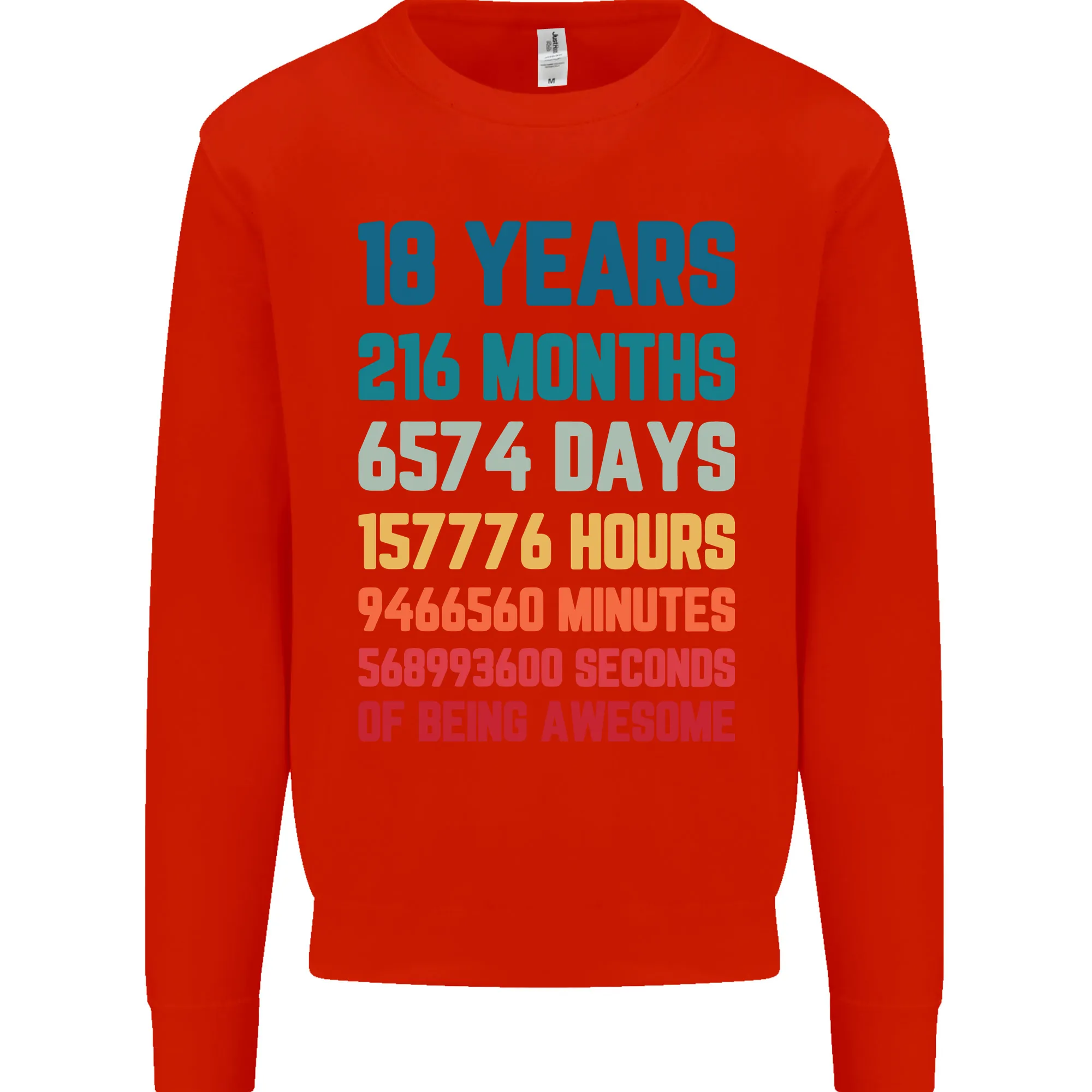 18th Birthday 18 Year Old Mens Sweatshirt Jumper