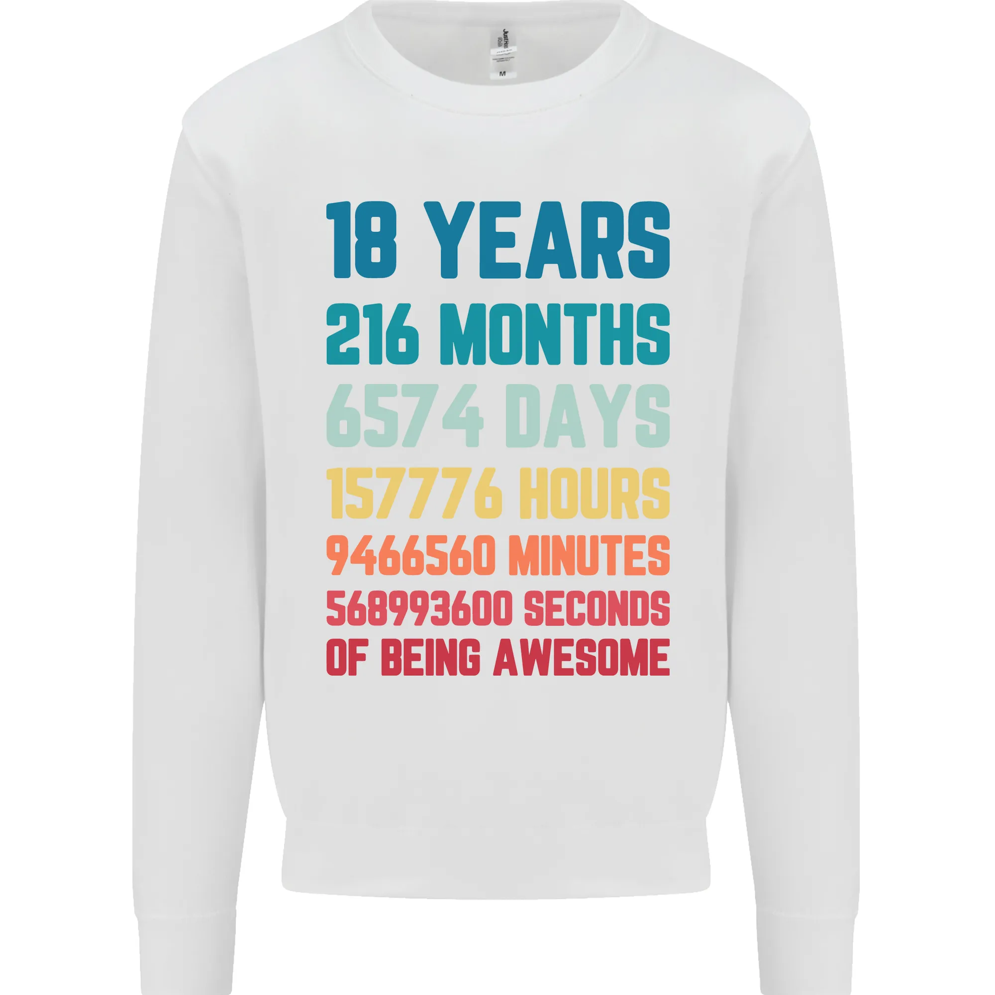 18th Birthday 18 Year Old Mens Sweatshirt Jumper