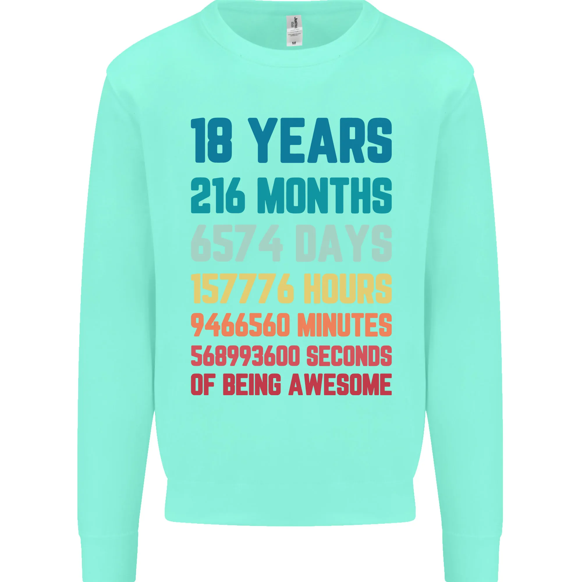 18th Birthday 18 Year Old Mens Sweatshirt Jumper