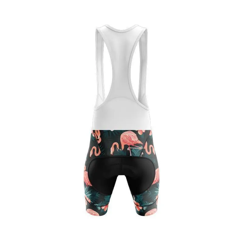 Flamingo Shorts & Pants